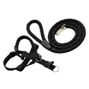 Kit Coleira Peitoral + Guia de Corda Reforçado – Passeios Confortáveis e Seguros!