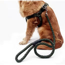 Kit Coleira Peitoral + Guia de Corda Reforçado – Passeios Confortáveis e Seguros!