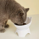 Comedouro e Bebedouro Elevado Ergonômico para Gatos